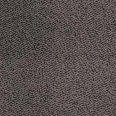 Starry STR05 - ECOSIS Roll Carpet 진그레이 롤카펫  고급 방염 카페트 1㎡